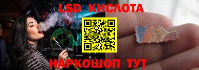 индика Обнинск