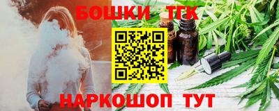 индика Обнинск