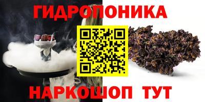 соль ск Обь