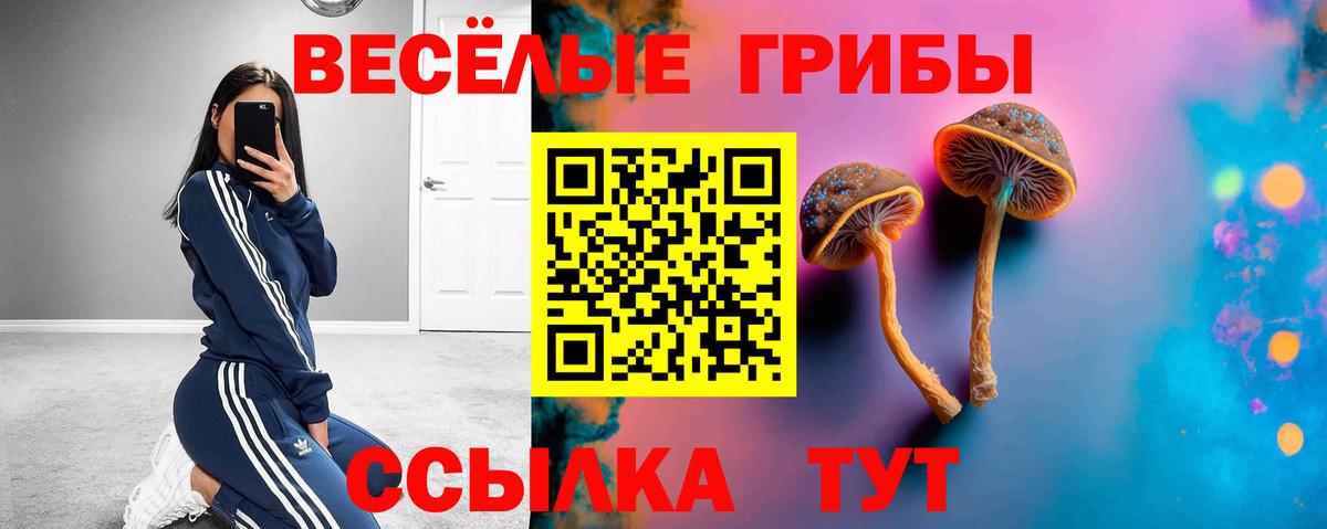 Урай  Псилоцибиновые грибы мицелий  сколько стоит  Вход с VPN 